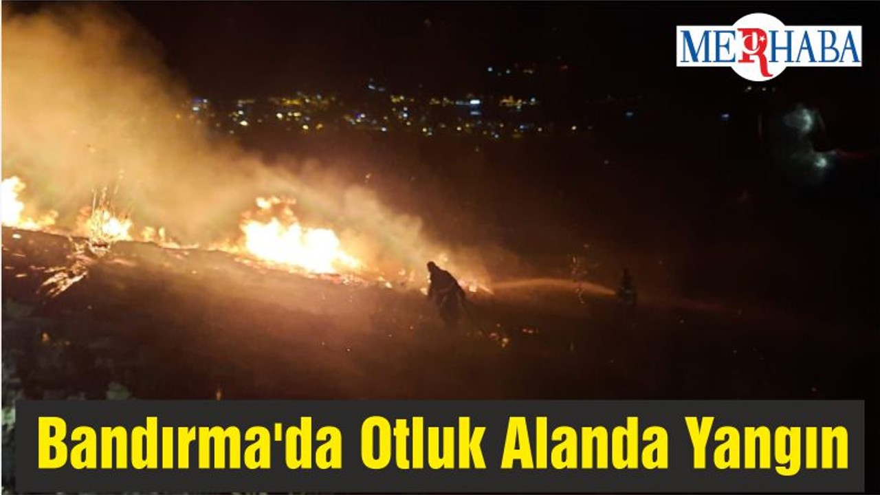 Bandırma'da Otluk Alanda Yangın