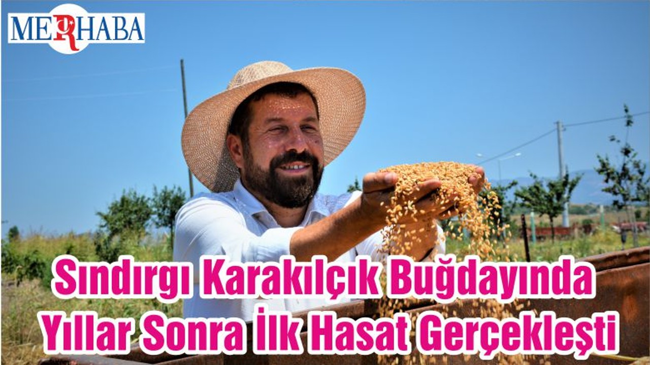 Sındırgı Karakılçık Buğdayında Yıllar Sonra İlk Hasat Gerçekleşti