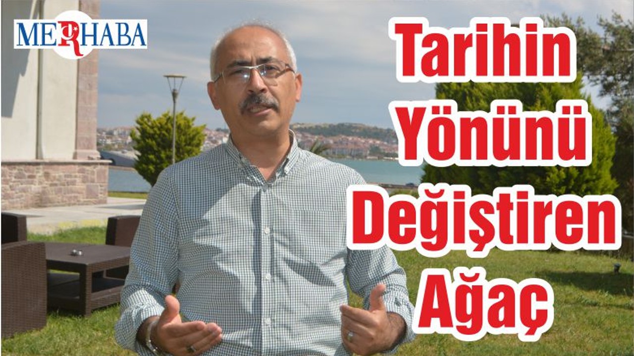 Tarihin Yönünü Değiştiren Ağaç