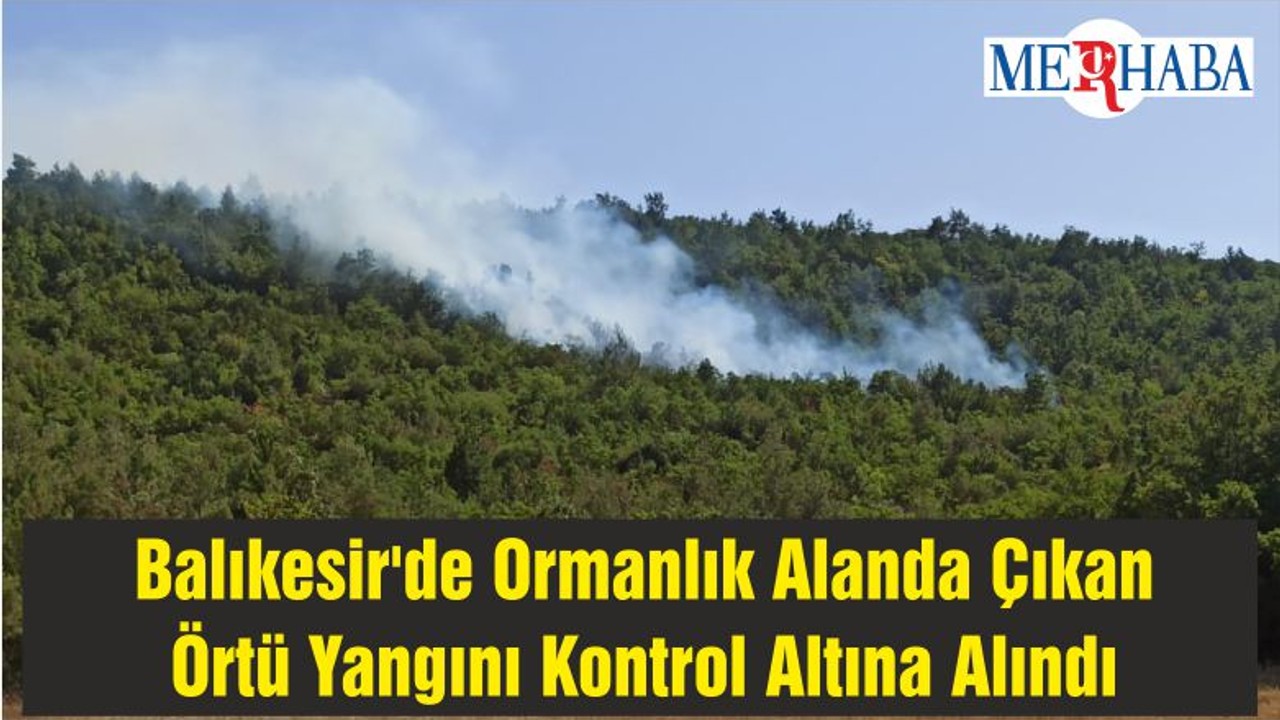 Balıkesir'de Ormanlık Alanda Çıkan Örtü Yangını Kontrol Altına Alındı