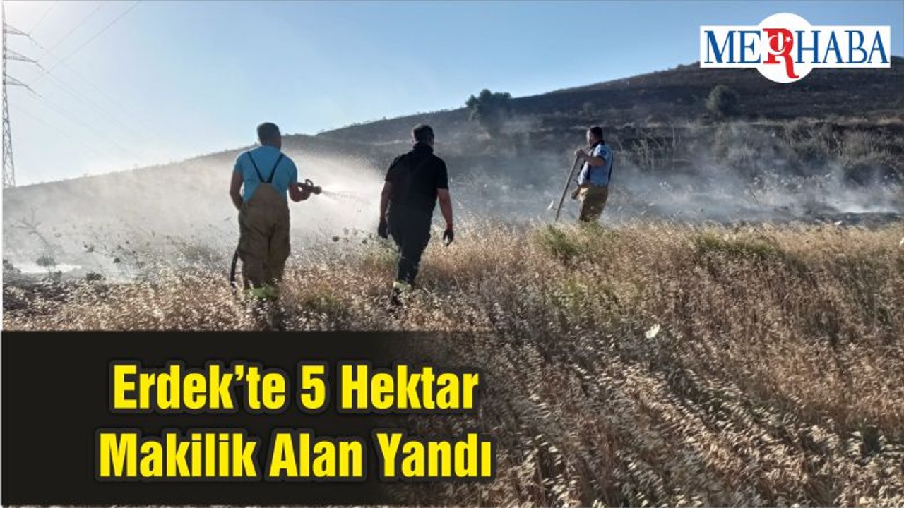 Erdek’te 5 Hektar Makilik Alan Yandı