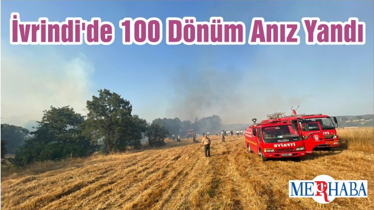 İvrindi'de 100 Dönüm Anız Yandı