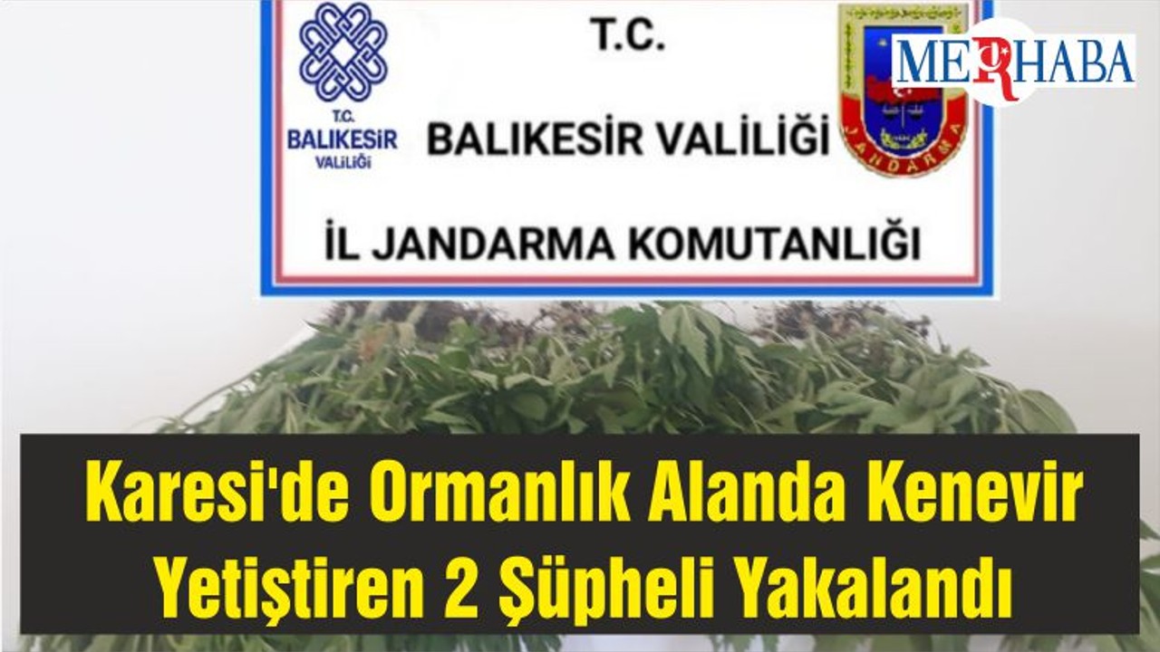 Karesi'de Ormanlık Alanda Kenevir Yetiştiren 2 Şüpheli Yakalandı