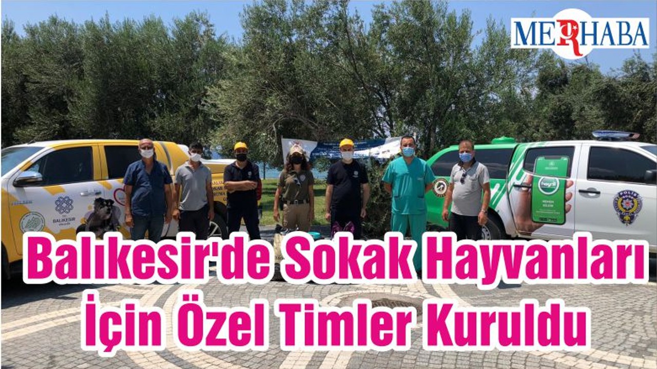 Balıkesir'de Sokak Hayvanları İçin Özel Timler Kuruldu