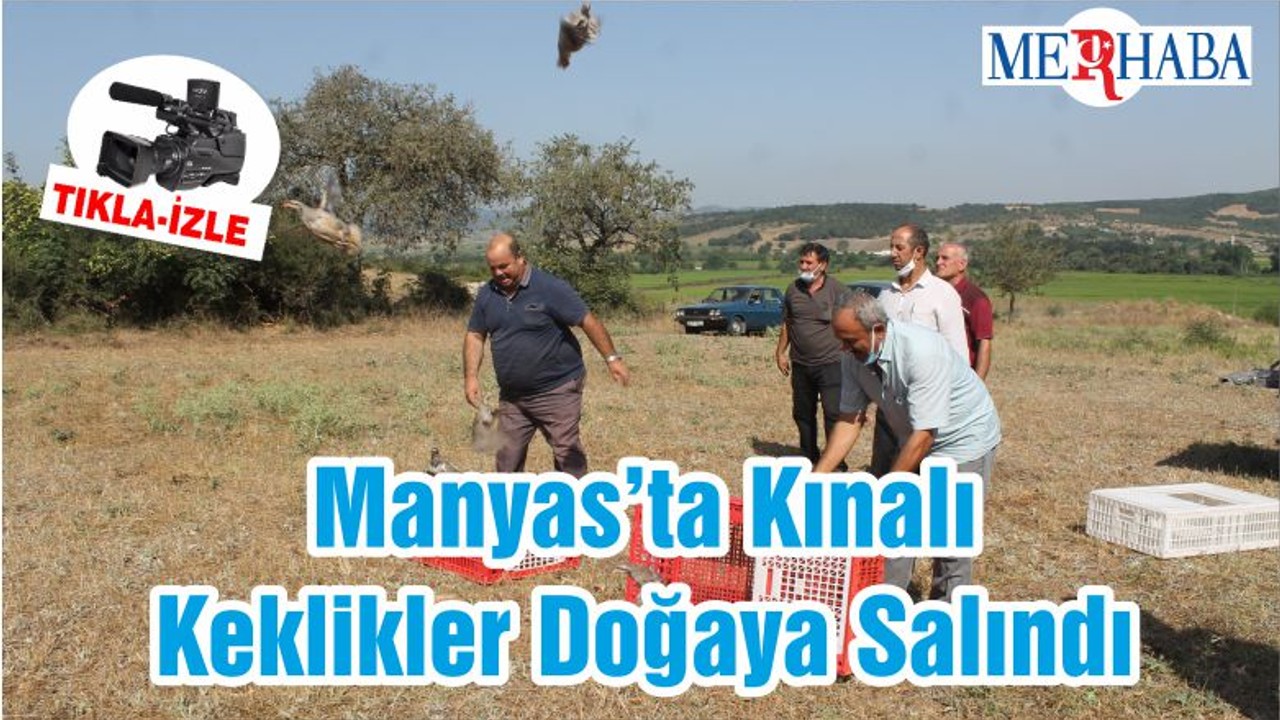 Manyas’ta Kınalı Keklikler Doğaya Salındı