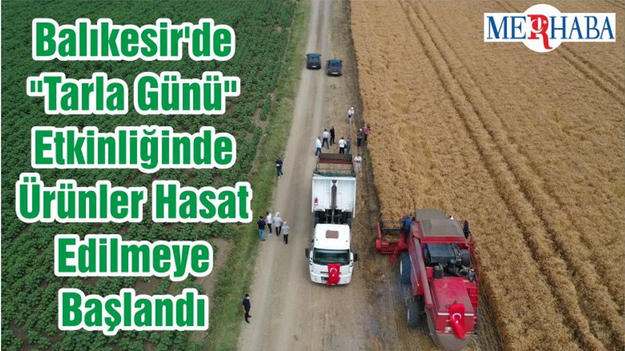 Balıkesir'de "Tarla Günü" Etkinliğinde Ürünler Hasat Edilmeye Başlandı