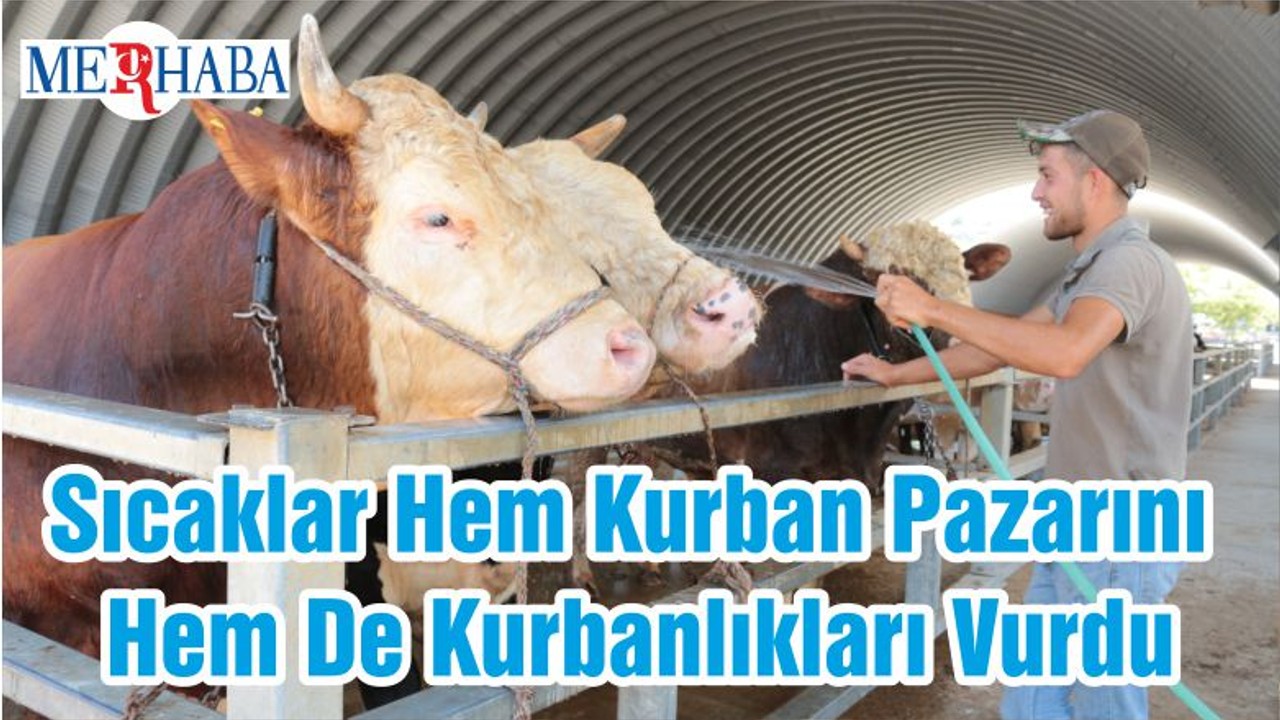 Sıcaklar Hem Kurban Pazarını Hem De Kurbanlıkları Vurdu