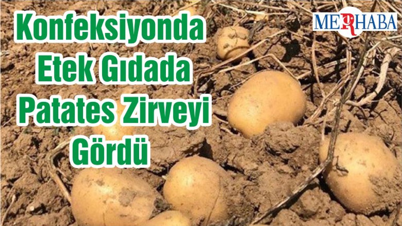 Konfeksiyonda Etek Gıdada Patates Zirveyi Gördü