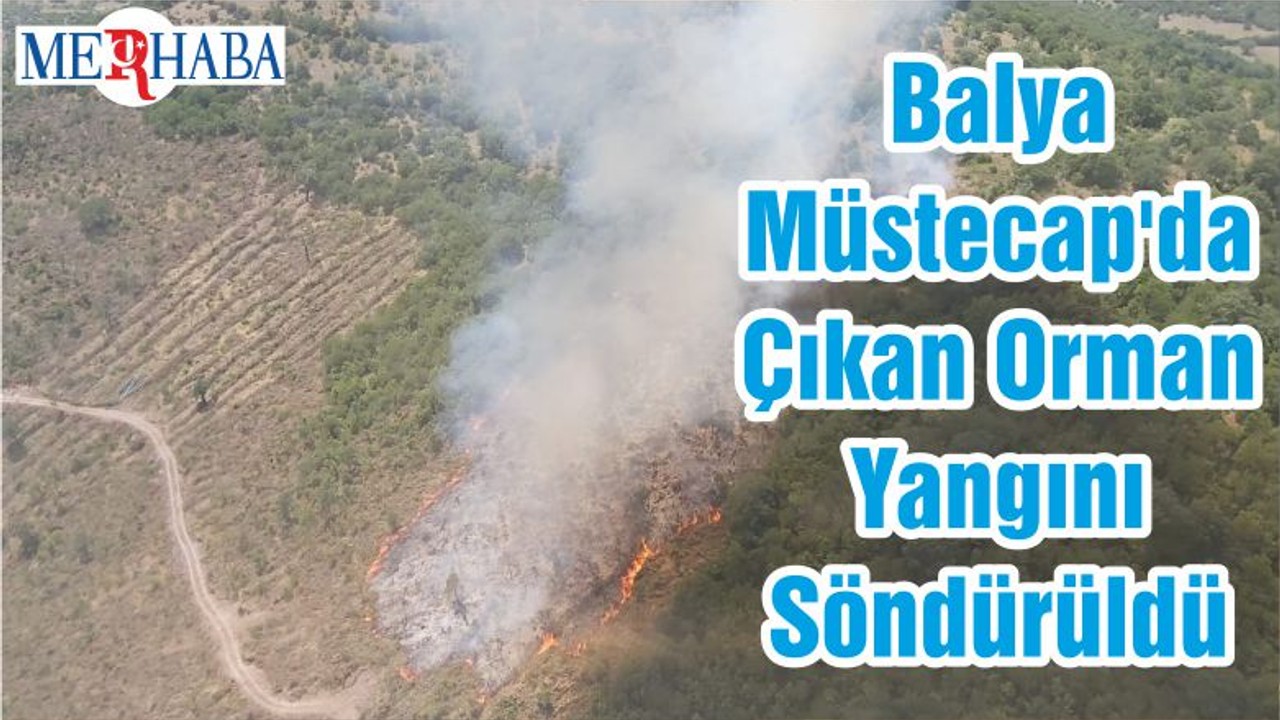 Balya Müstecap'da Çıkan Orman Yangını Söndürüldü