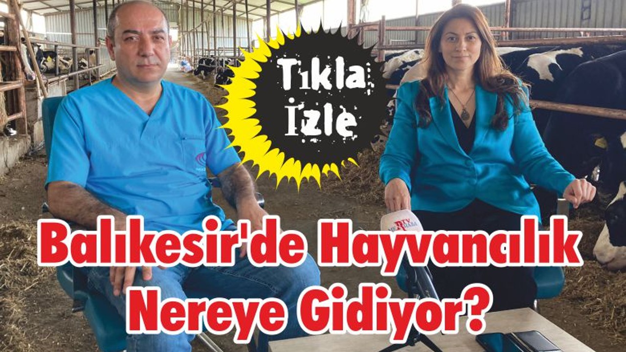 Balıkesir'de Hayvancılık Nereye Gidiyor?