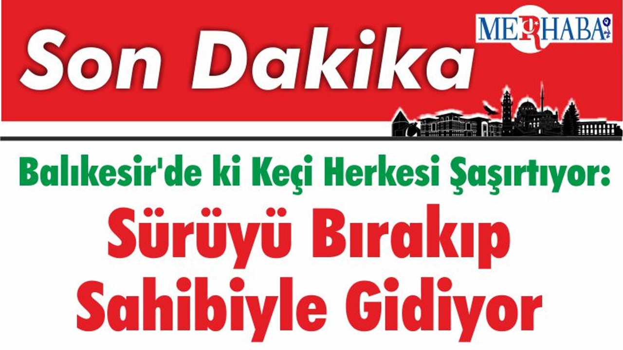 Balıkesir'de ki Keçi Herkesi Şaşırtıyor: Sürüyü Bırakıp Sahibiyle Gidiyor