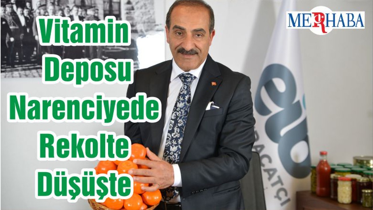 Vitamin Deposu Narenciyede Rekolte Düşüşte