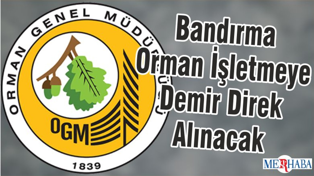 Bandırma Orman İşletmeye Demir Direk Alınacak