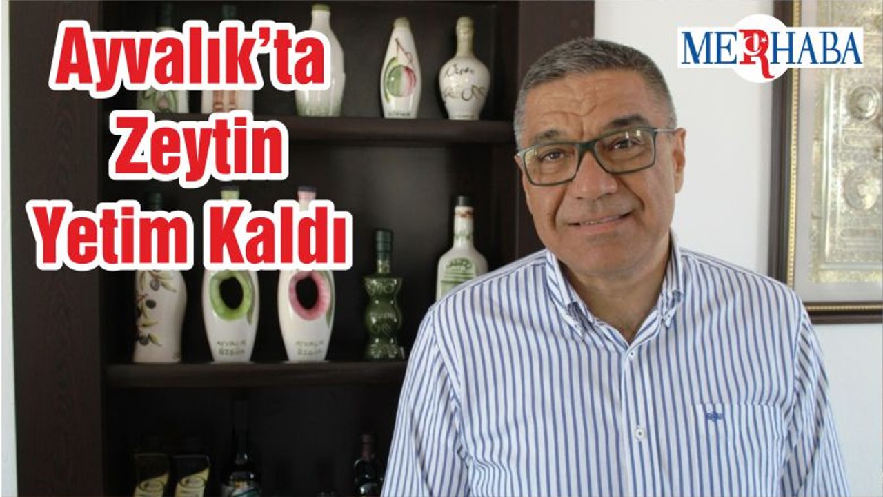 Ayvalık’ta Zeytin Yetim Kaldı