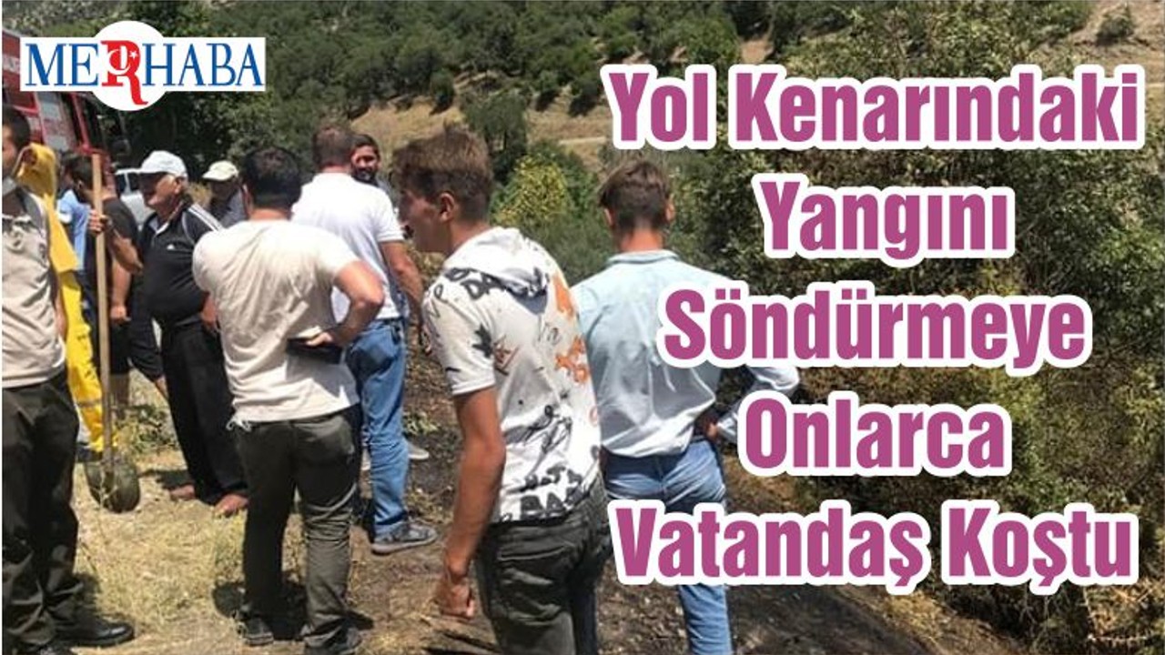 Yol Kenarındaki Yangını Söndürmeye Onlarca Vatandaş Koştu