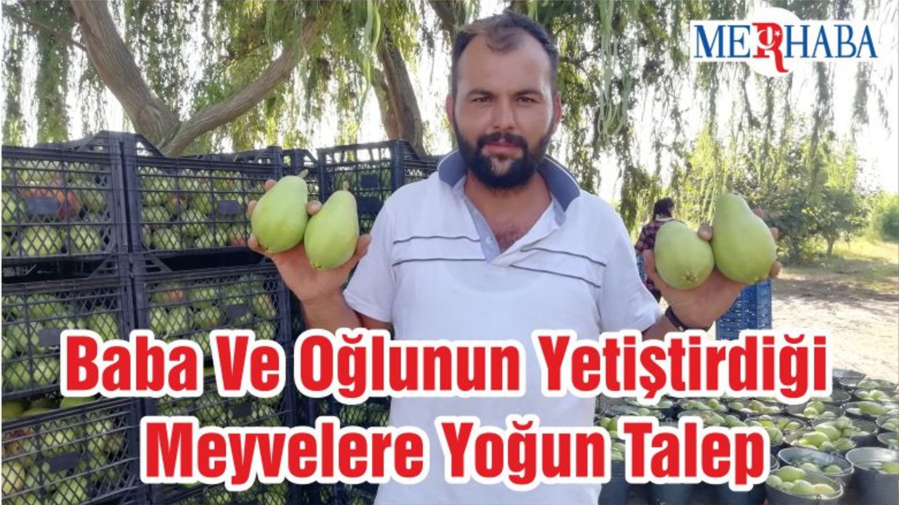 Baba Ve Oğlunun Yetiştirdiği Meyvelere Yoğun Talep