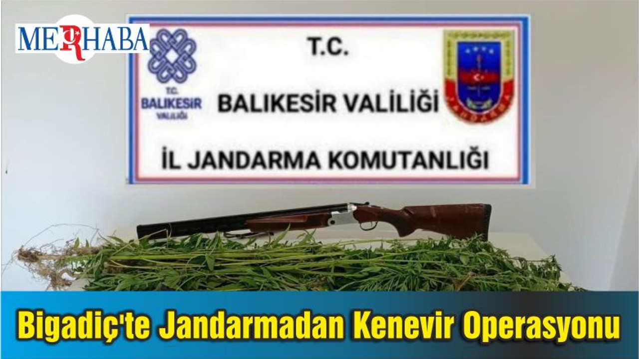 Bigadiç'te Jandarmadan Kenevir Operasyonu