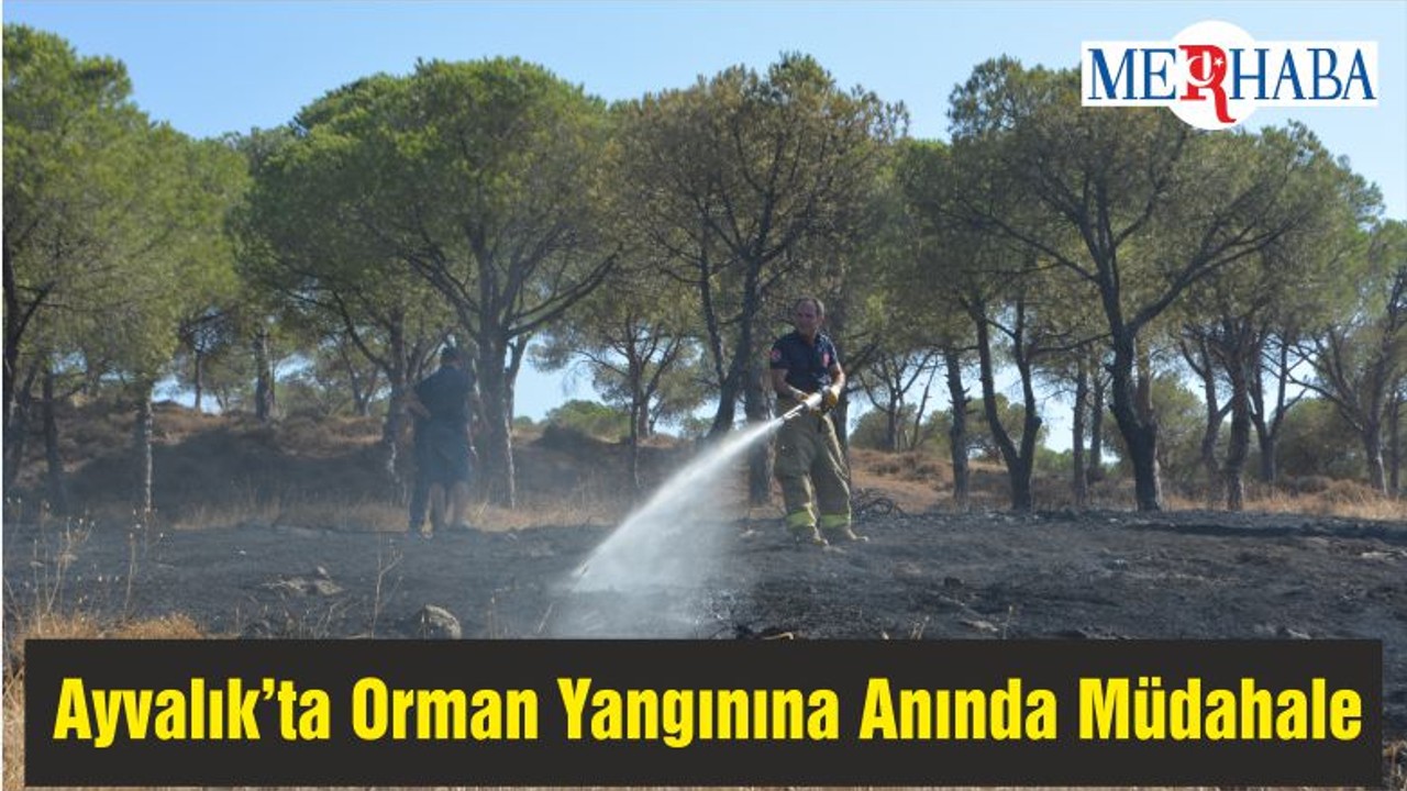 Ayvalık’ta Orman Yangınına Anında Müdahale