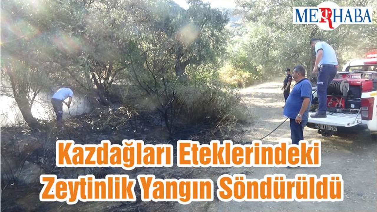 Kazdağları Eteklerindeki Zeytinlik Yangın Söndürüldü