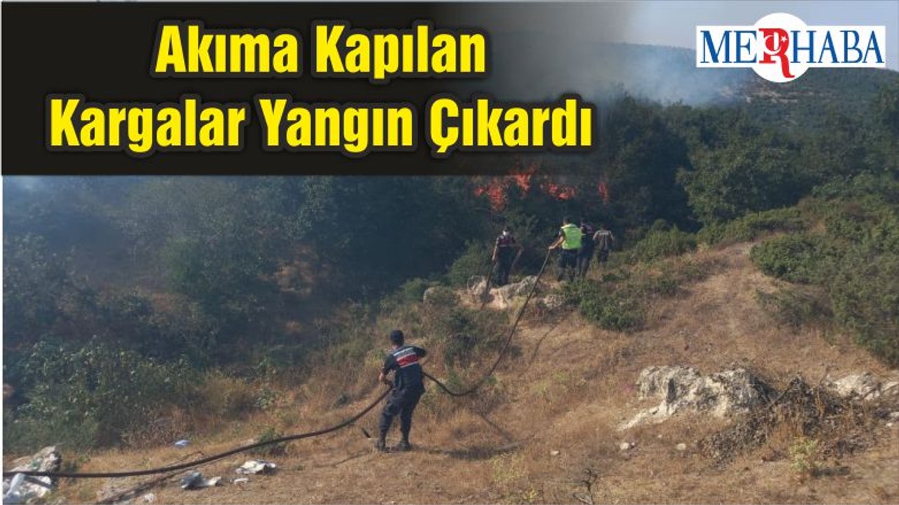 Akıma Kapılan Kargalar Yangın Çıkardı