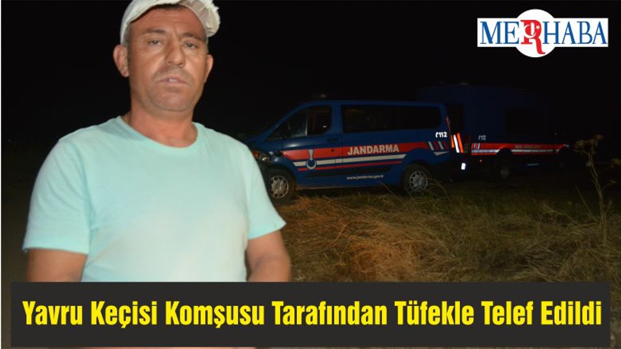 Yavru Keçisi Komşusu Tarafından Tüfekle Telef Edildi