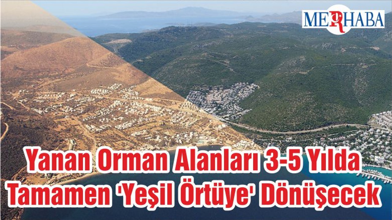 Yanan Orman Alanları 3-5 Yılda Tamamen 'Yeşil Örtüye' Dönüşecek
