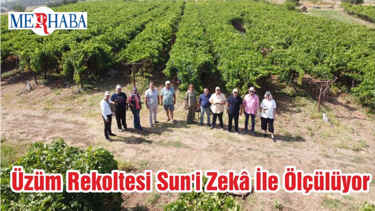 Üzüm Rekoltesi Sun'i Zekâ İle Ölçülüyor