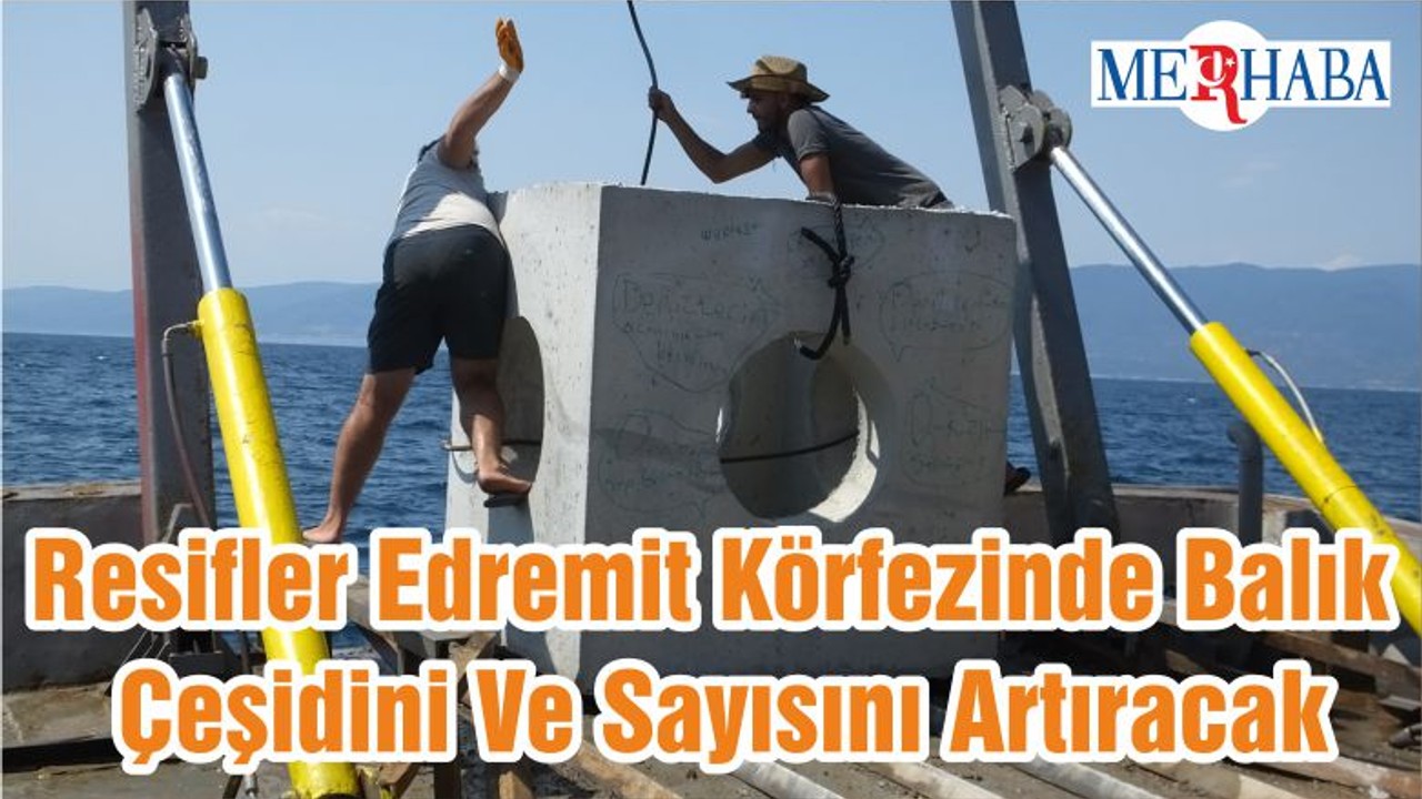 Resifler Edremit Körfezinde Balık Çeşidini Ve Sayısını Artıracak