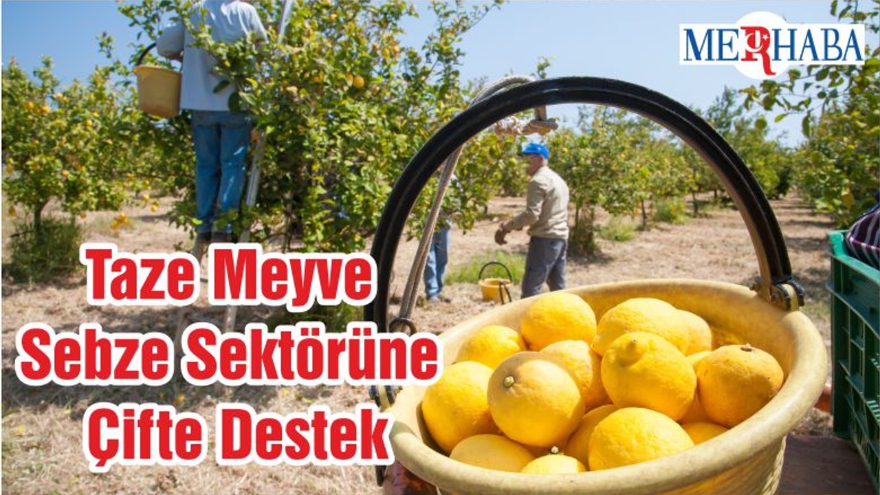 Taze Meyve Sebze Sektörüne Çifte Destek