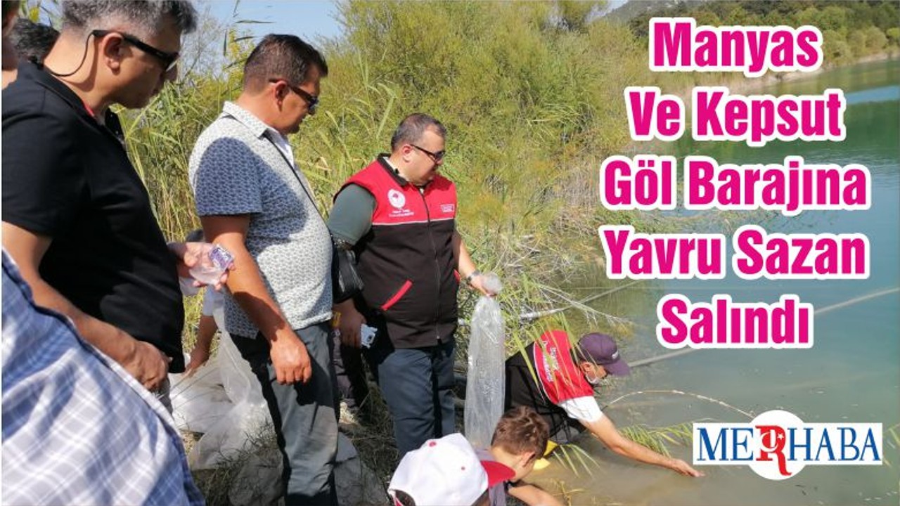 Manyas Ve Kepsut Göl Barajına Yavru Sazan Salındı
