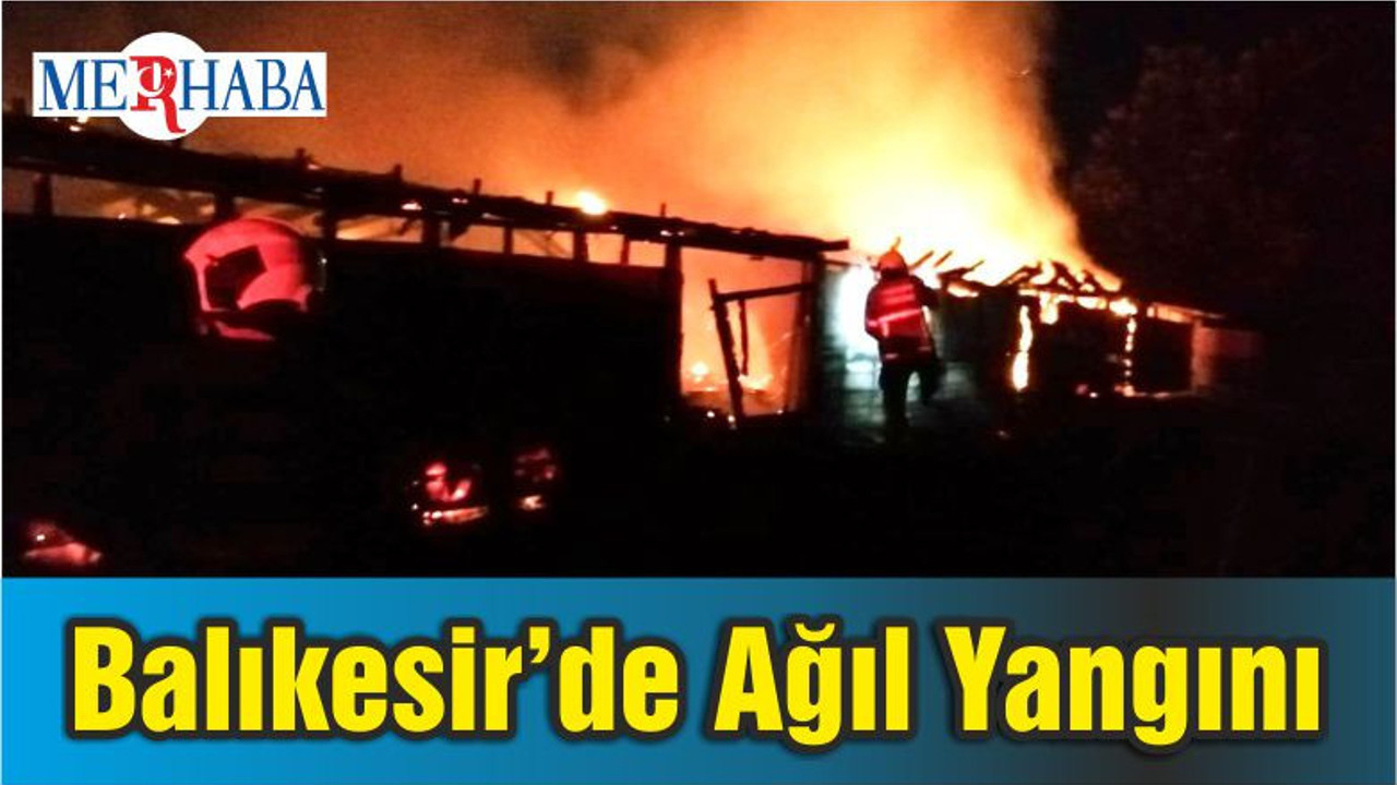 Balıkesir’de Ağıl Yangını