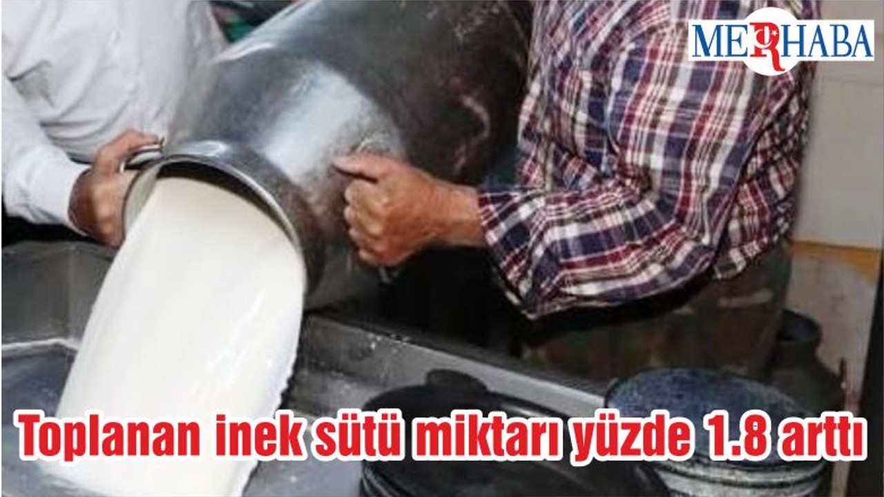 Toplanan inek sütü miktarı yüzde 1.8 arttı