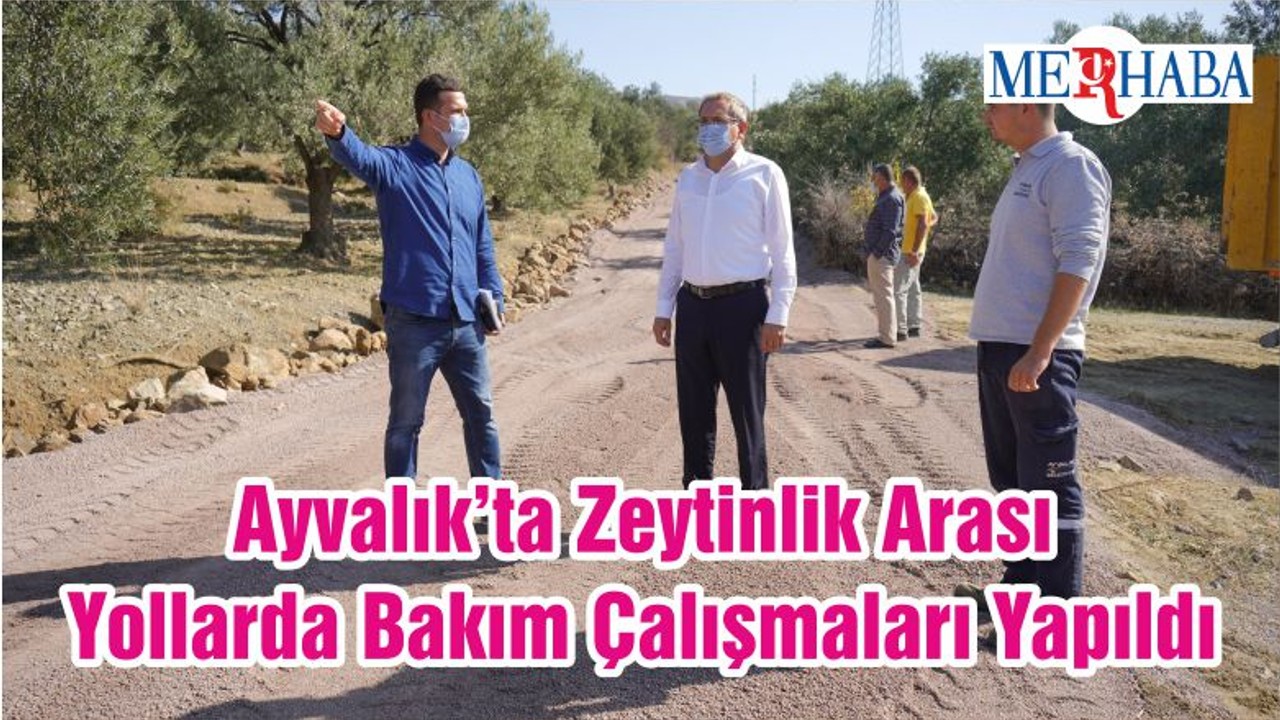 Ayvalık’ta Zeytinlik Arası Yollarda Bakım Çalışmaları Yapıldı