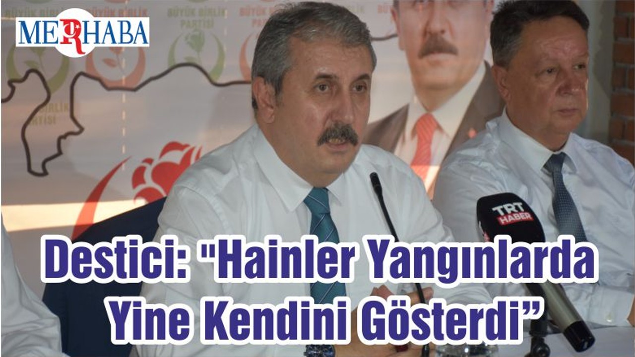 Destici: "Hainler Yangınlarda Yine Kendini Gösterdi"