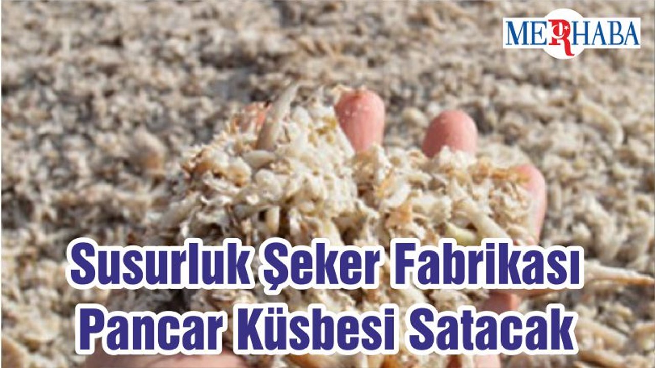 Susurluk Şeker Fabrikası Pancar Küsbesi Satacak