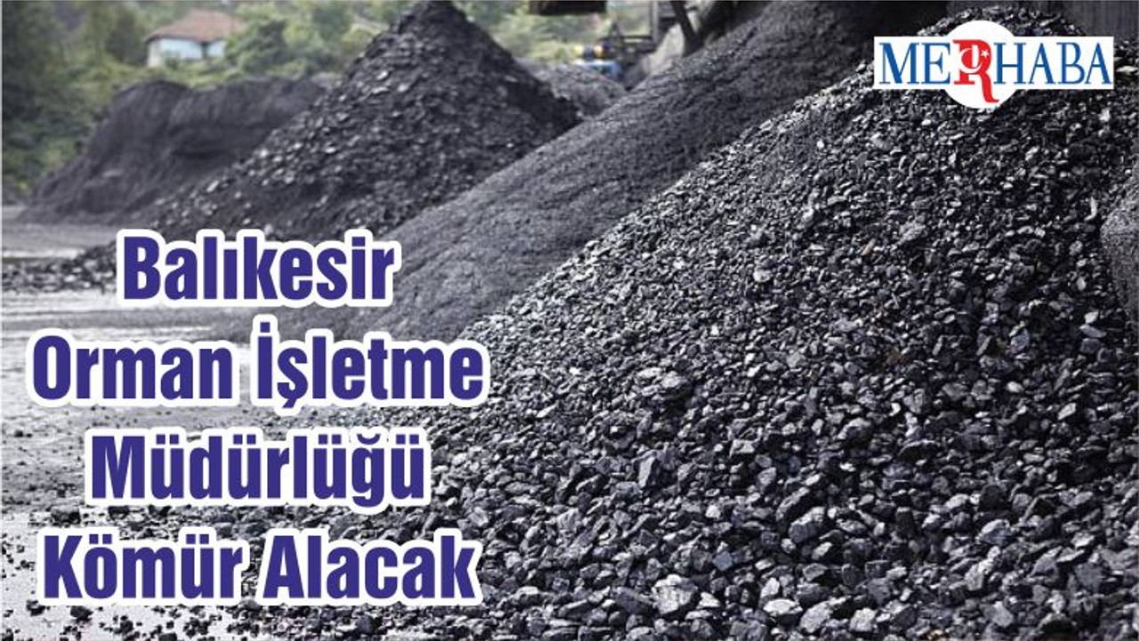 Balıkesir Orman İşletme Müdürlüğü Kömür Alacak