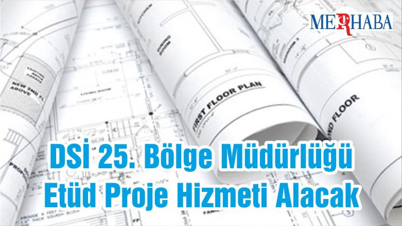 DSİ 25. Bölge Müdürlüğü Etüd Proje Hizmeti Alacak