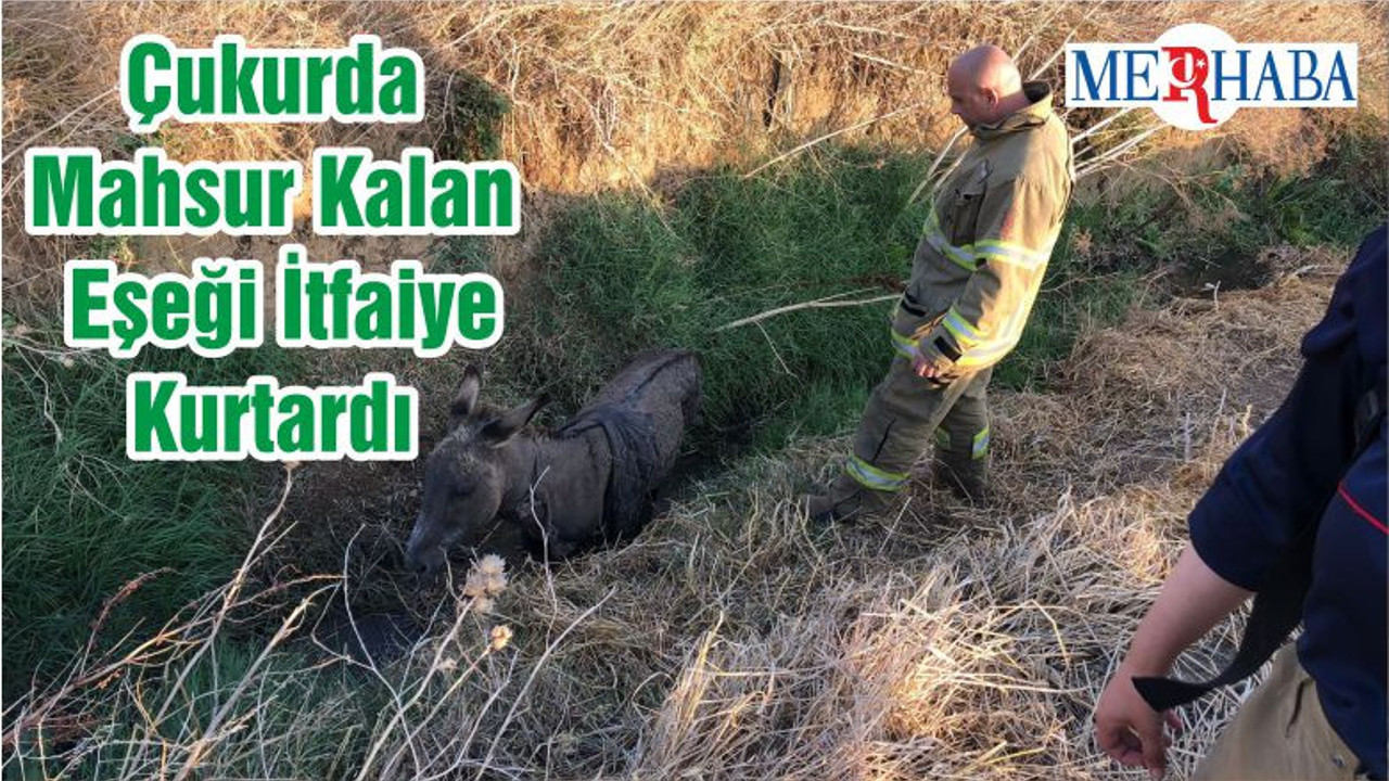Çukurda Mahsur Kalan Eşeği İtfaiye Kurtardı