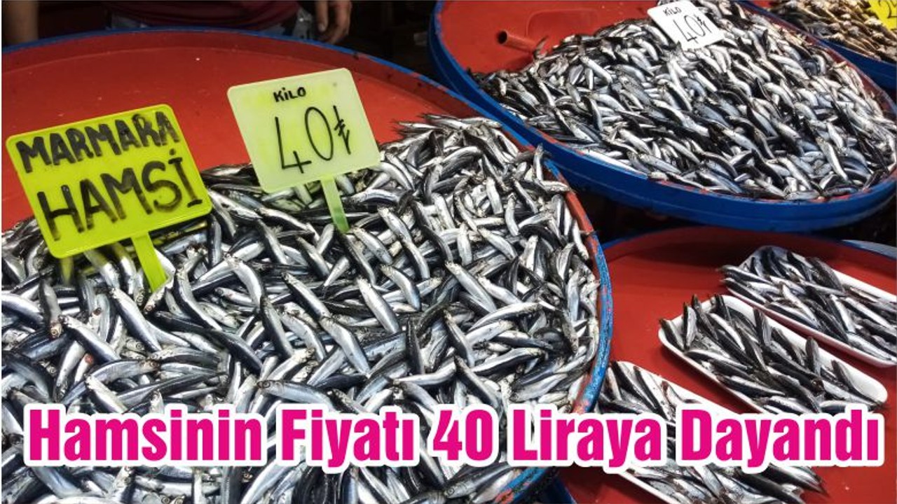 Hamsinin Fiyatı 40 Liraya Dayandı