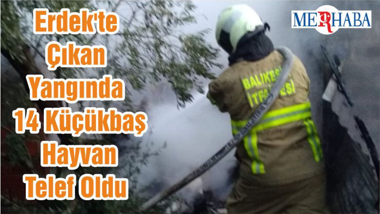 Erdek'te Çıkan Yangında 14 Küçükbaş Hayvan Telef Oldu