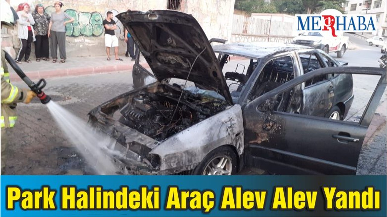 Park Halindeki Araç Alev Alev Yandı