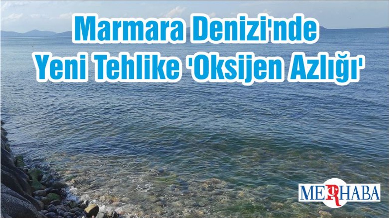 Marmara Denizi'nde Yeni Tehlike 'Oksijen Azlığı'