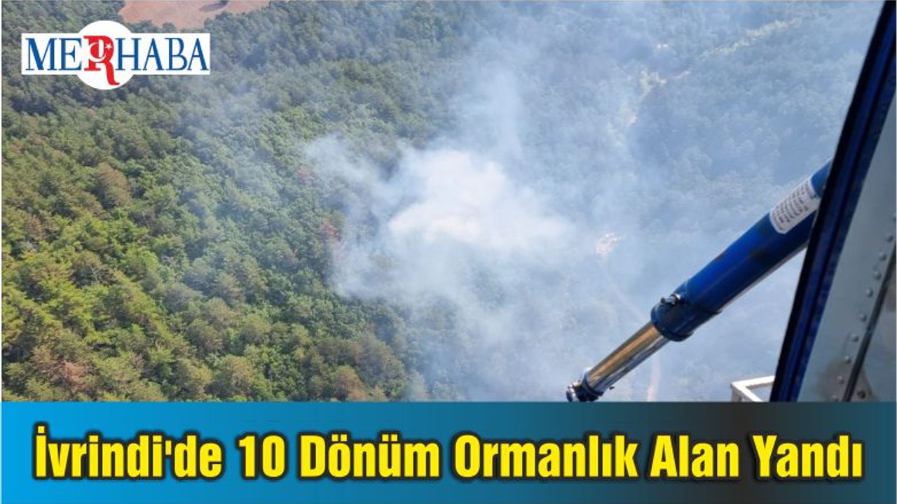 İvrindi'de 10 Dönüm Ormanlık Alan Yandı
