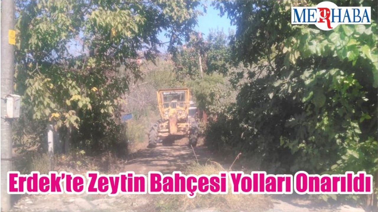 Erdek’te Zeytin Bahçesi Yolları Onarıldı
