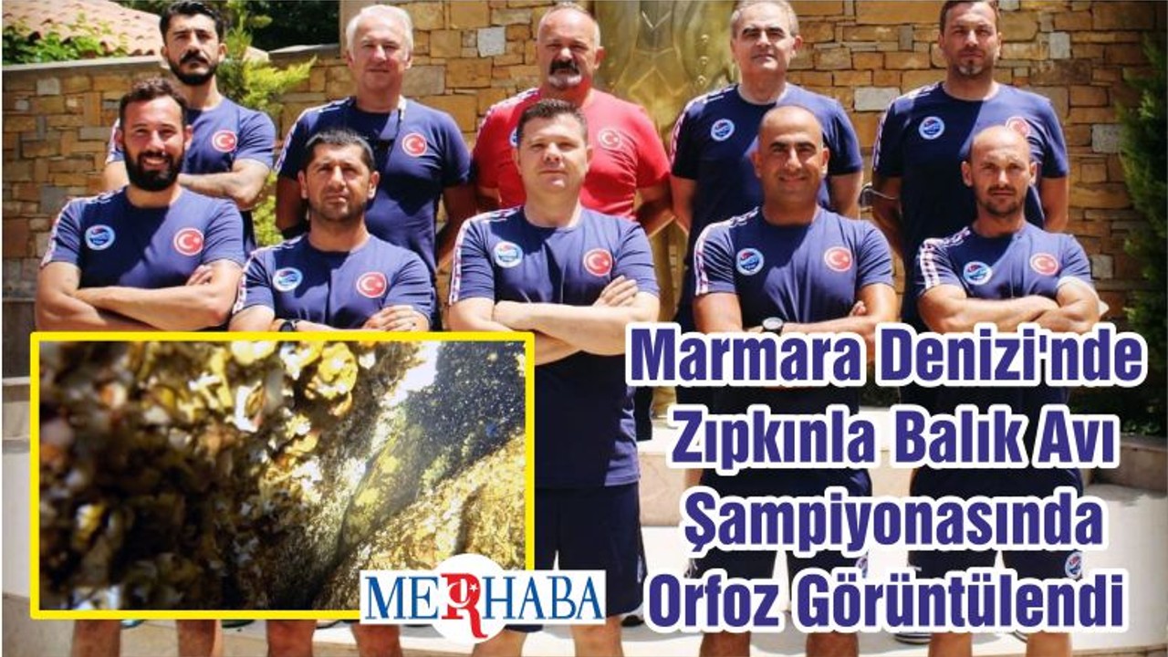 Marmara Denizi'nde Zıpkınla Balık Avı Şampiyonasında Orfoz Görüntülendi
