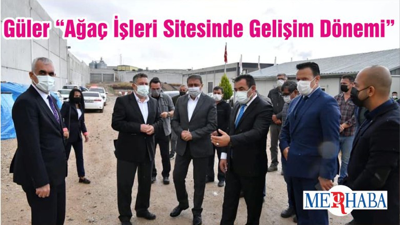 Güler “Ağaç İşleri Sitesinde Gelişim Dönemi”