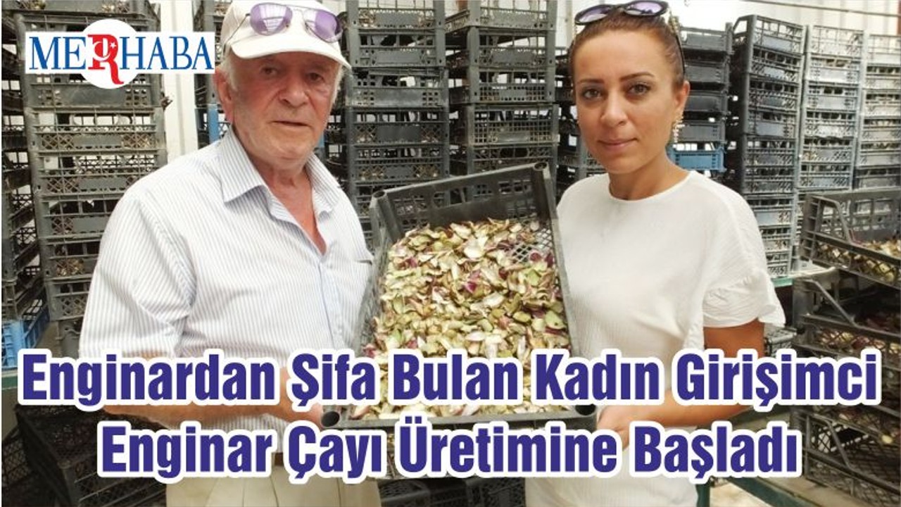 Enginardan Şifa Bulan Kadın Girişimci Enginar Çayı Üretimine Başladı