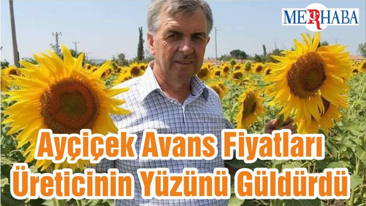 Ayçiçek Avans Fiyatları Üreticinin Yüzünü Güldürdü