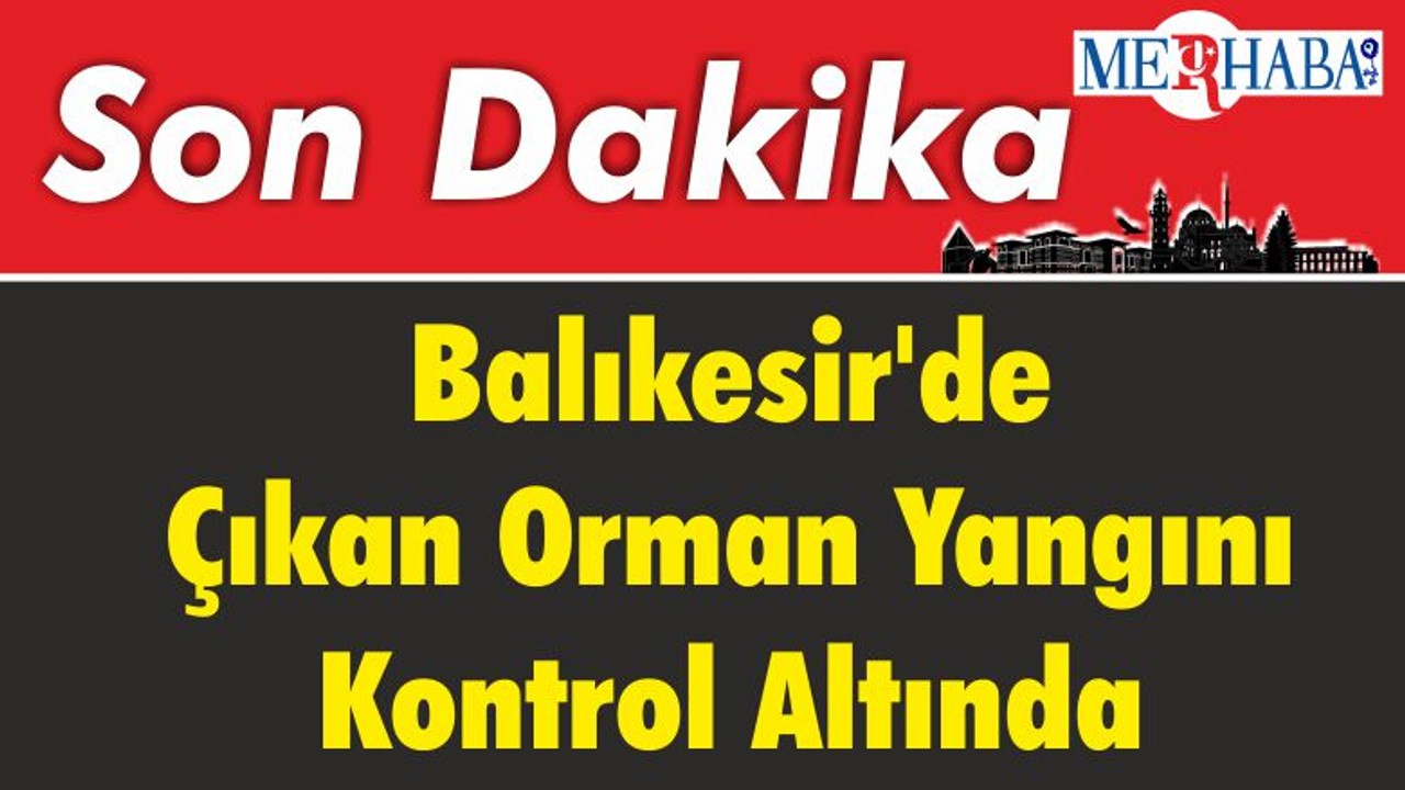 Balıkesir'de Çıkan Orman Yangını Kontrol Altında