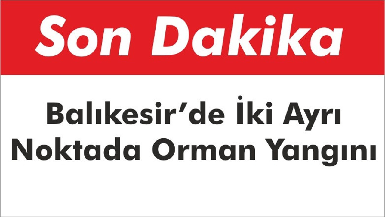 Balıkesir’de İki Ayrı Noktada Orman Yangını Çıktı